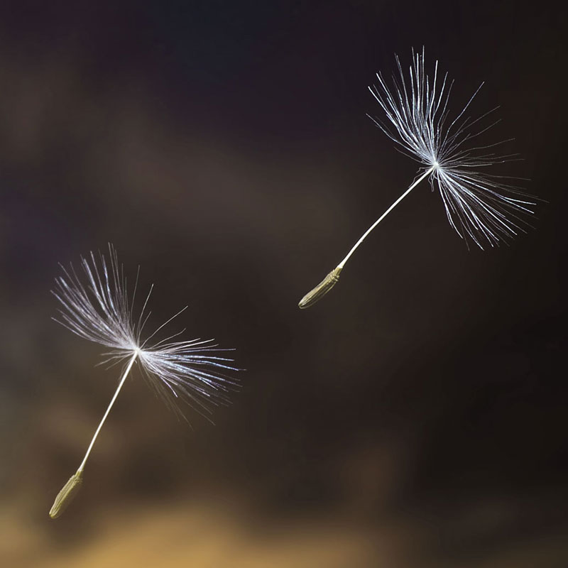 einzelcoaching Entspannung für Kinder