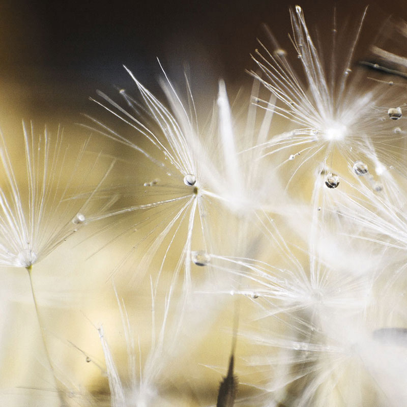 impulsvortraege Impulsvorträge Gedankenglitzer