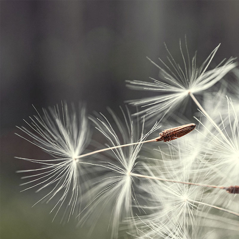 workshops Stressmanagement und Resilienztraining