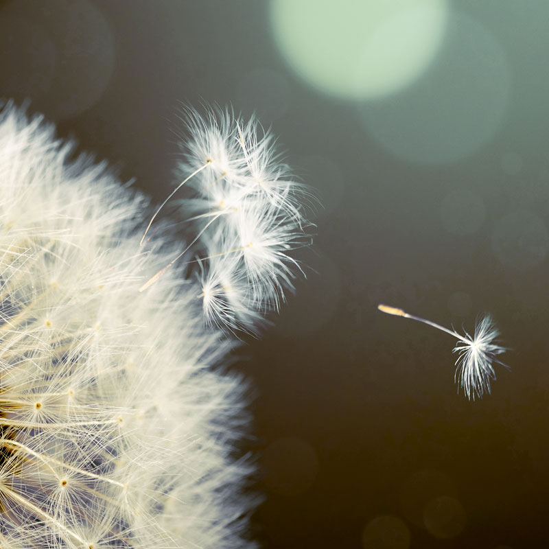 mut-tut-gut Mut tut gut – Kurse für Kinder